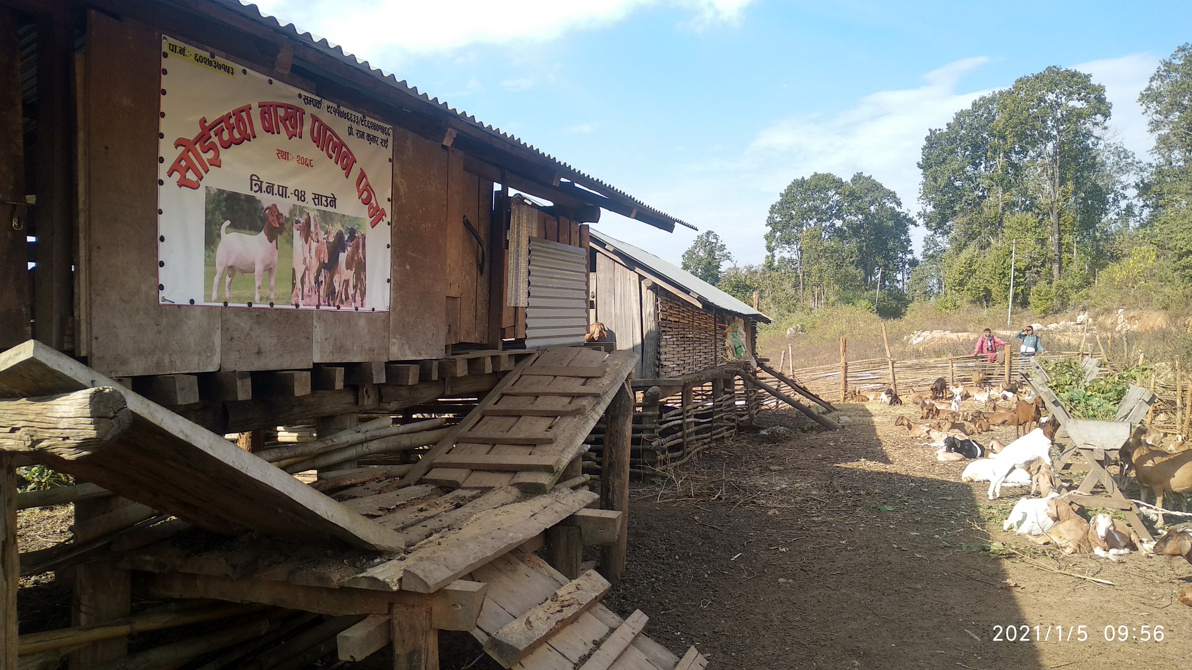 ग्रामिण उधम तथा विप्रेशन अायाेजना (समृद्दी) अापुर्ति श्रृखला वाख्रापालन कार्यक्रम
